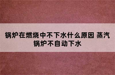 锅炉在燃烧中不下水什么原因 蒸汽锅炉不自动下水